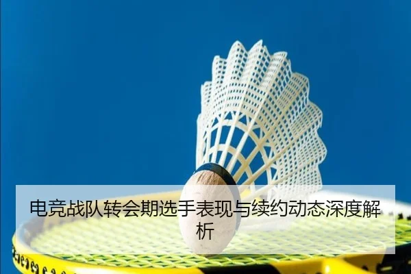 电竞战队转会期选手表现与续约动态深度解析